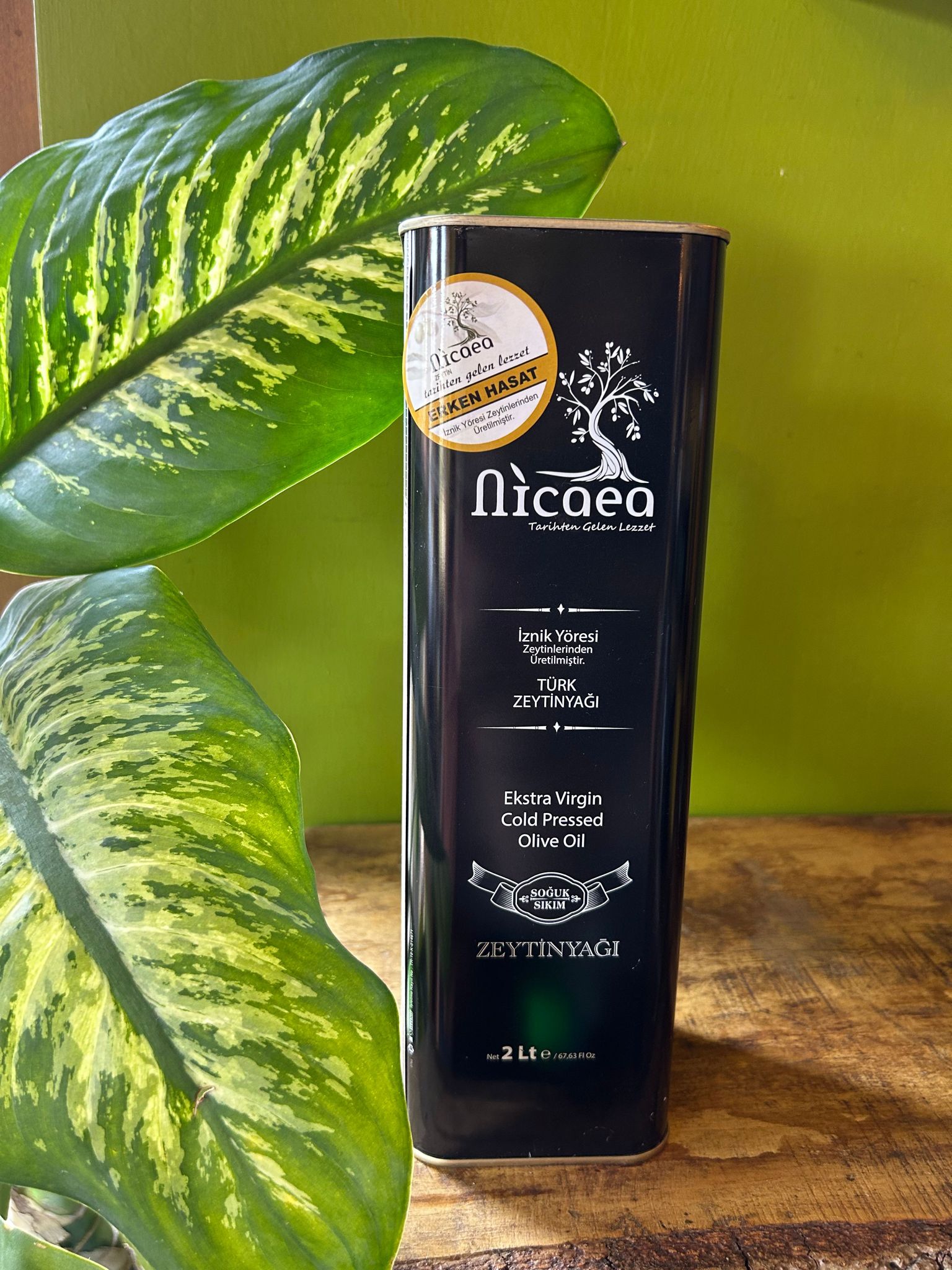 WhatsApp Image 2023-07-14 at 10.11.21