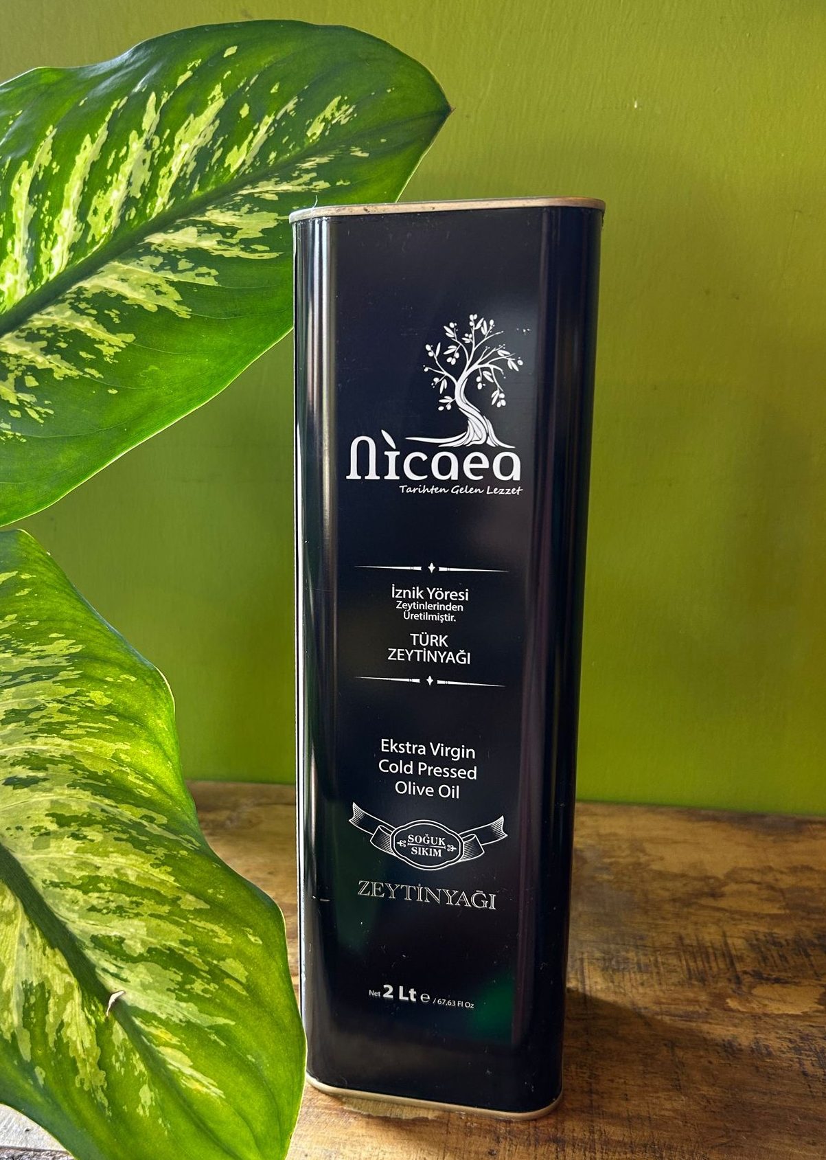 WhatsApp Image 2023-07-14 at 10.11.29