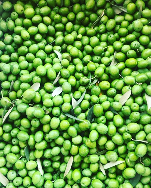 f6f71f2b-30dd-438e-a2bf-6d06e31c05e1